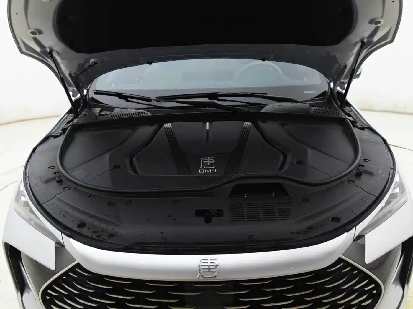 BYD Tang New Energy 2026 2026 DM-i 115KM Premium