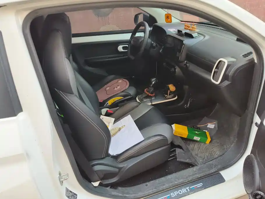 Roewe Clever 2023 2022 311km Vitality Bobo Edition