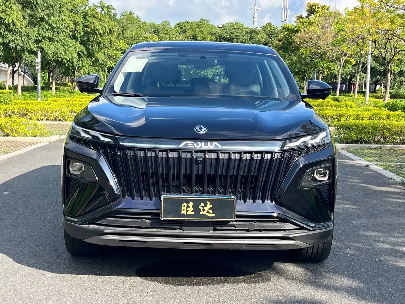 2025 Dongfeng Aeolus Haoji