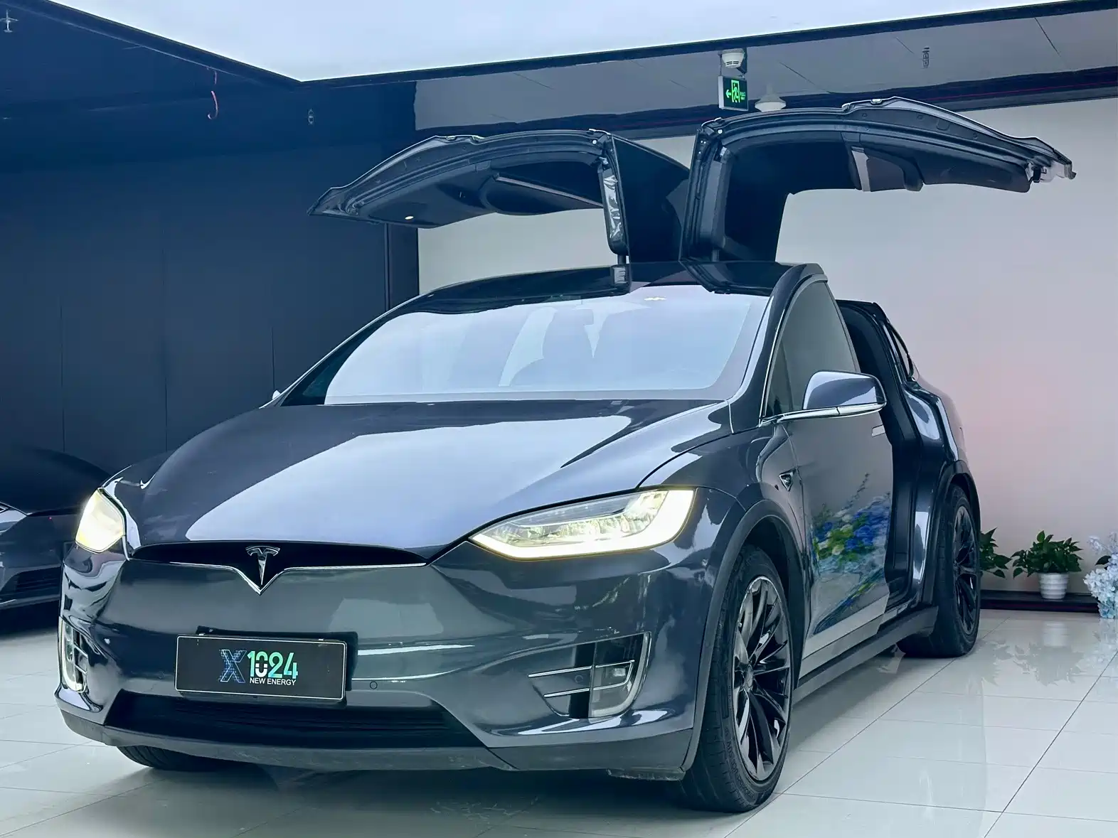 Фото 1 - Tesla Model X