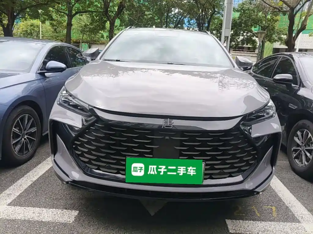BYD Tang New Energy 2025 2026 Smart Drive Edition DM-i 160KM Premium