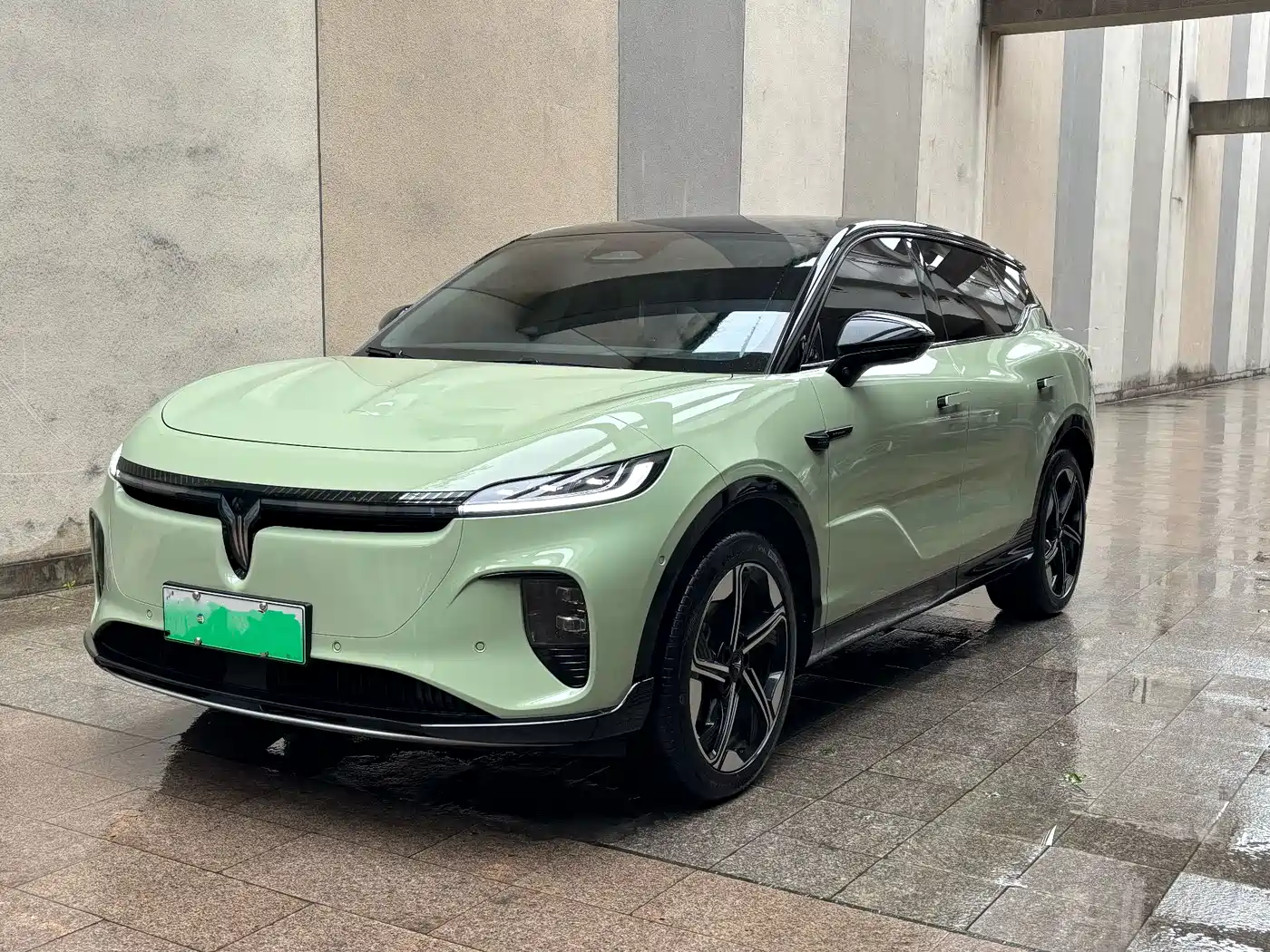 Voyah Auto Voyah Zhiyin 2024 Long Range Smart Edition