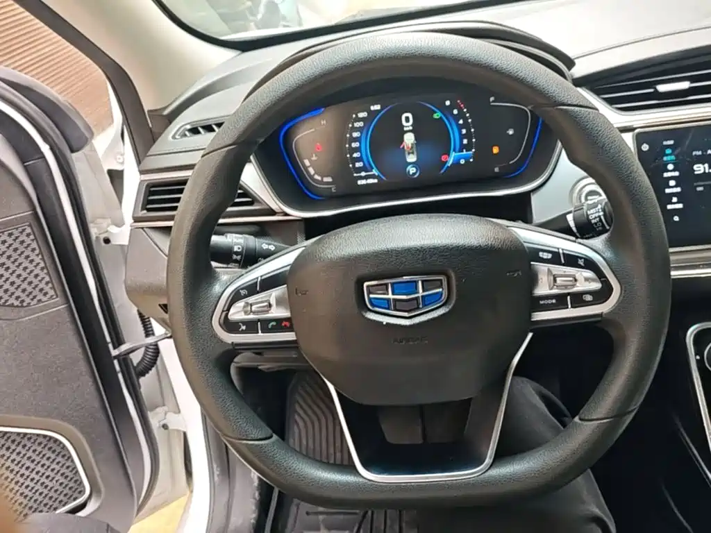 Фото 4 - Geely Binrui