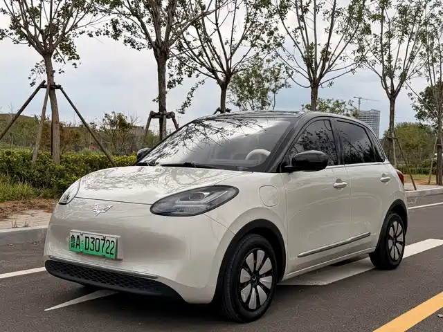  Wuling Motors Wuling Bingo 2024 333km Comfort Edition