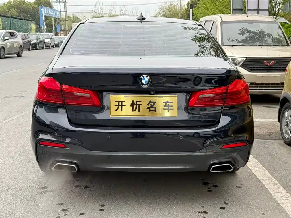 BMW 5 Series 2020 530Li Exclusive M Sport Package фото 4