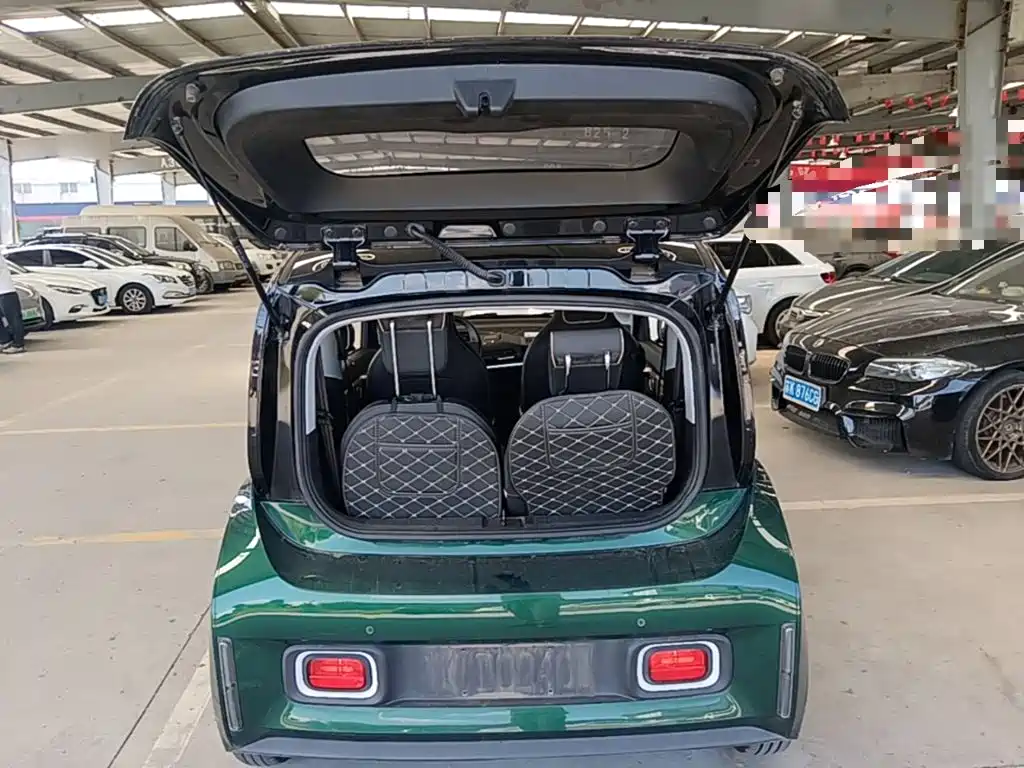 Baojun KiWi EV 2022 2021 Artist LFP
