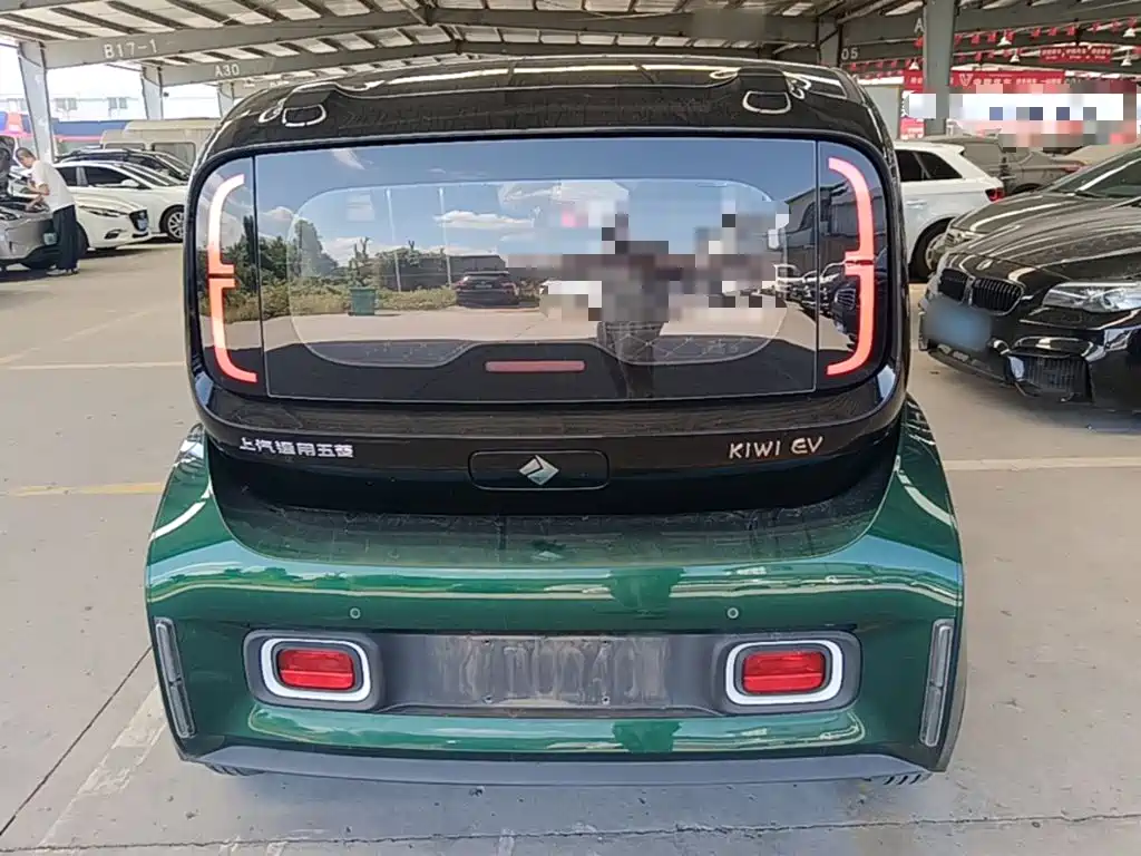 Baojun KiWi EV 2022 2021 Artist LFP