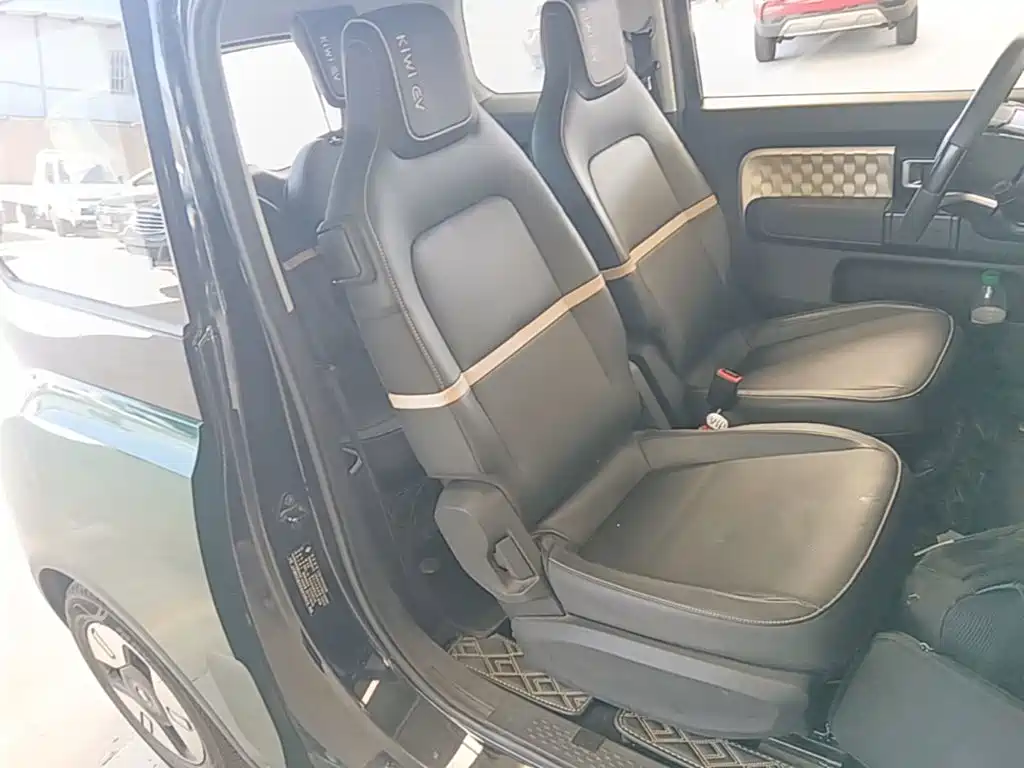 Baojun KiWi EV 2022 2021 Artist LFP