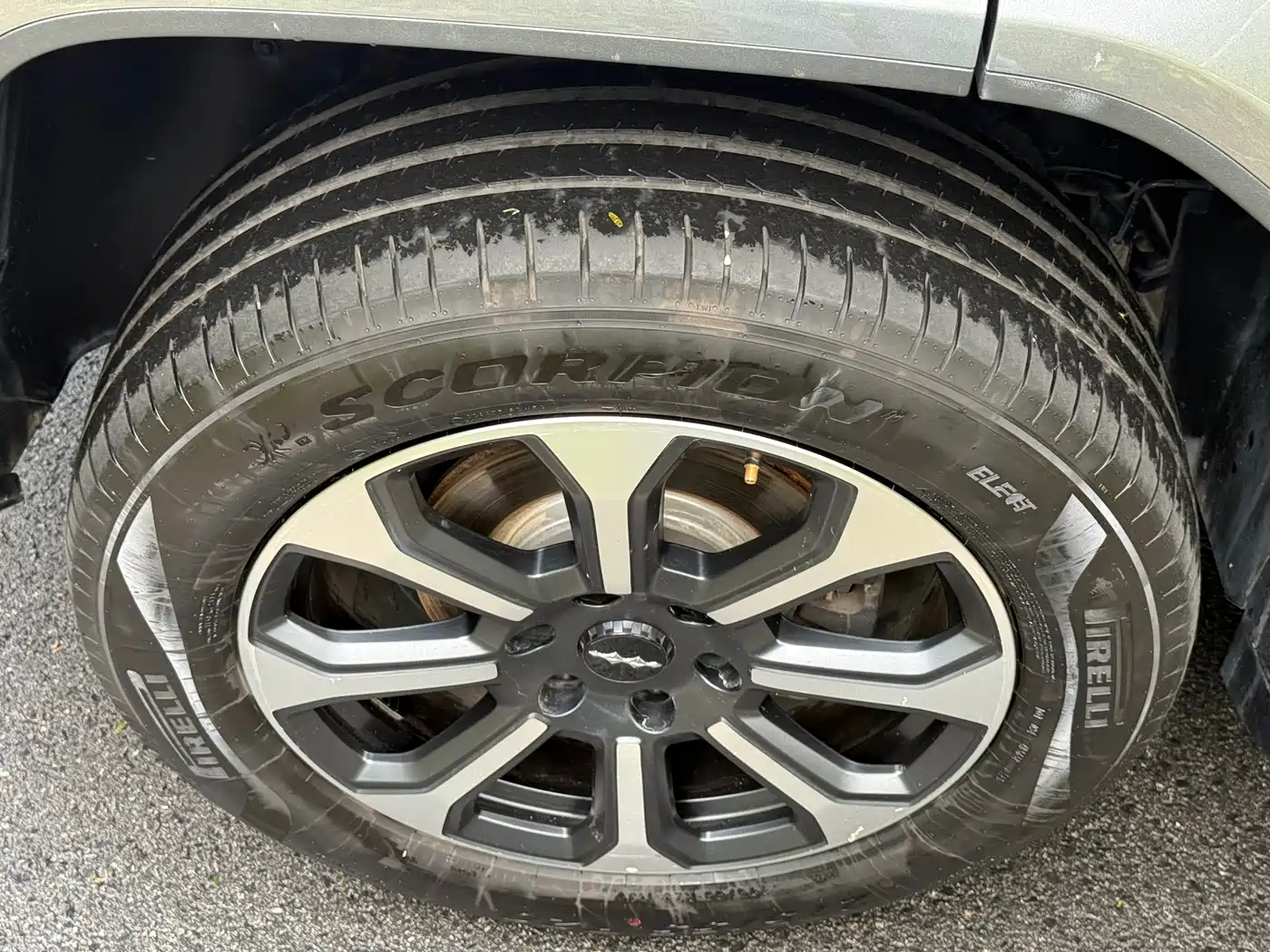 FANG CHENG BAO LEOPARD 5