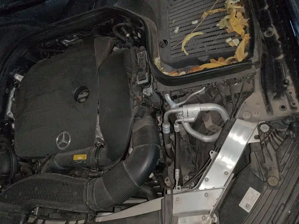 Mercedes-Benz GLC 2022 Facelift III GLC 260 L 4MATIC Dynamic фото 24
