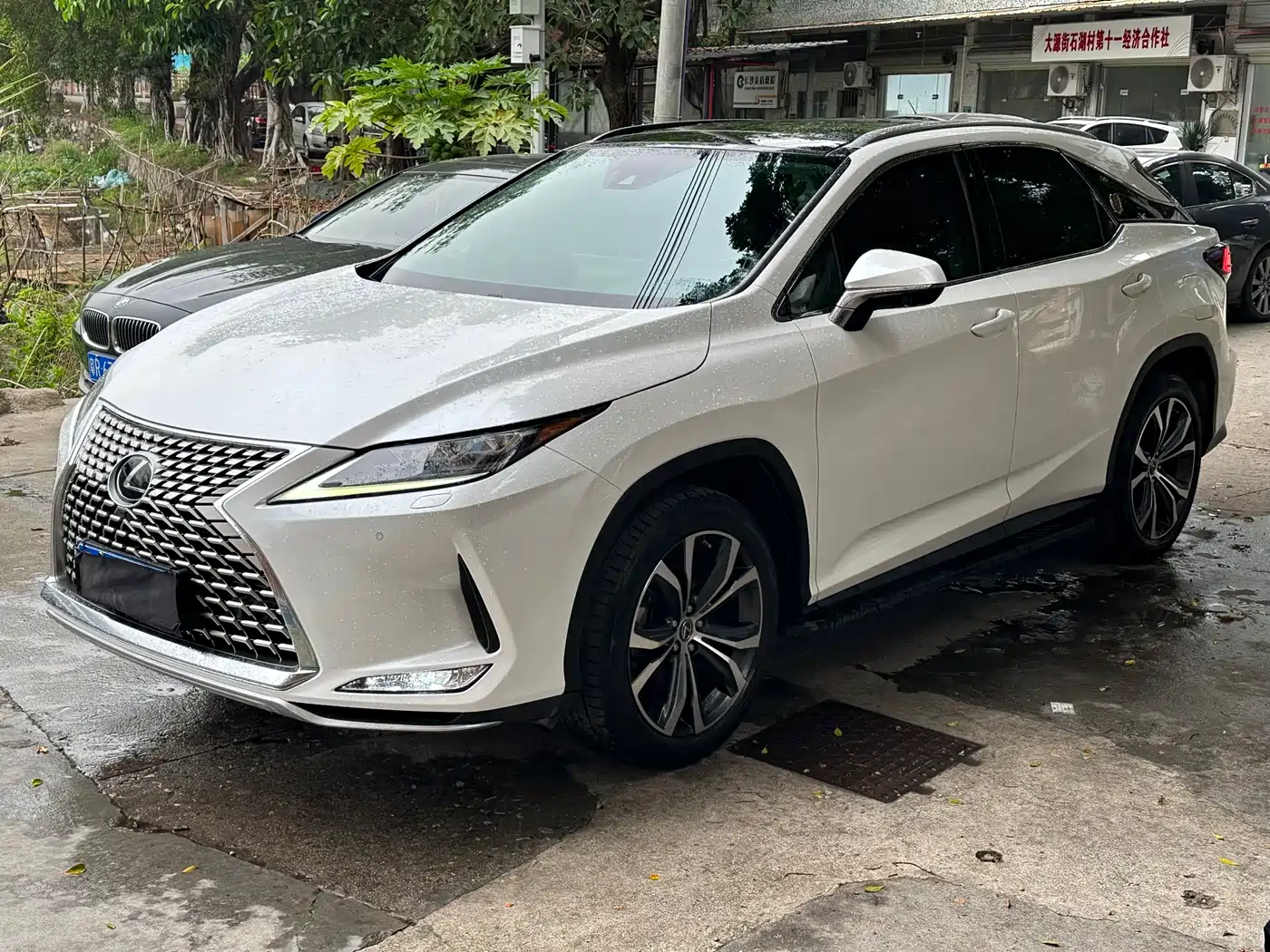 LEXUS RX