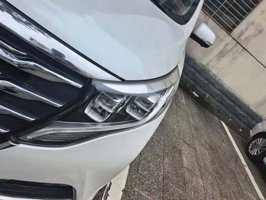 GAC Trumpchi M8 2018 2018 320T Premium Edition