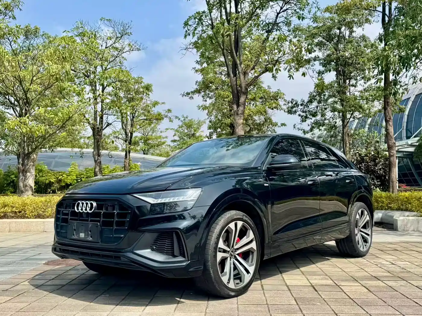 Audi Q8 2022 55 TFSI Premium Selection Dynamic