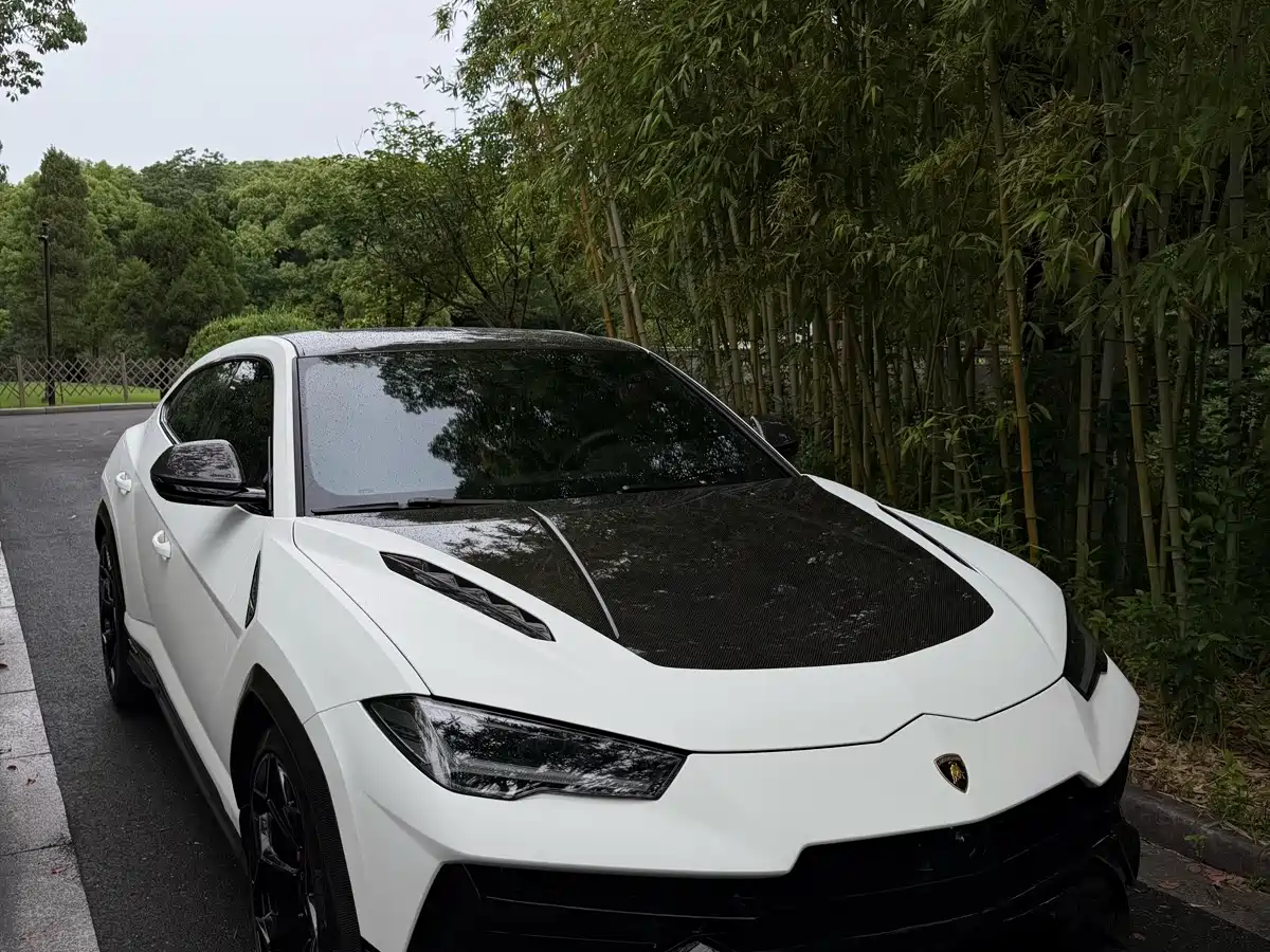 Lamborghini Urus 2023 2022 4.0T V8 Performante