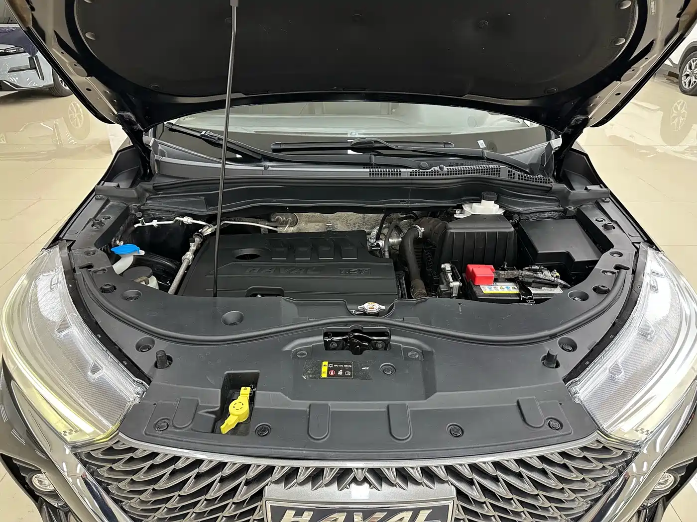 Haval M6 2023 2021 PLUS 1.5T DCT Luxury Smart Connect
