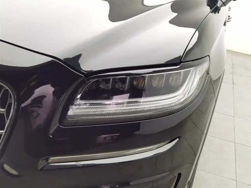 LINCOLN NAVIGATOR (IMPORT)