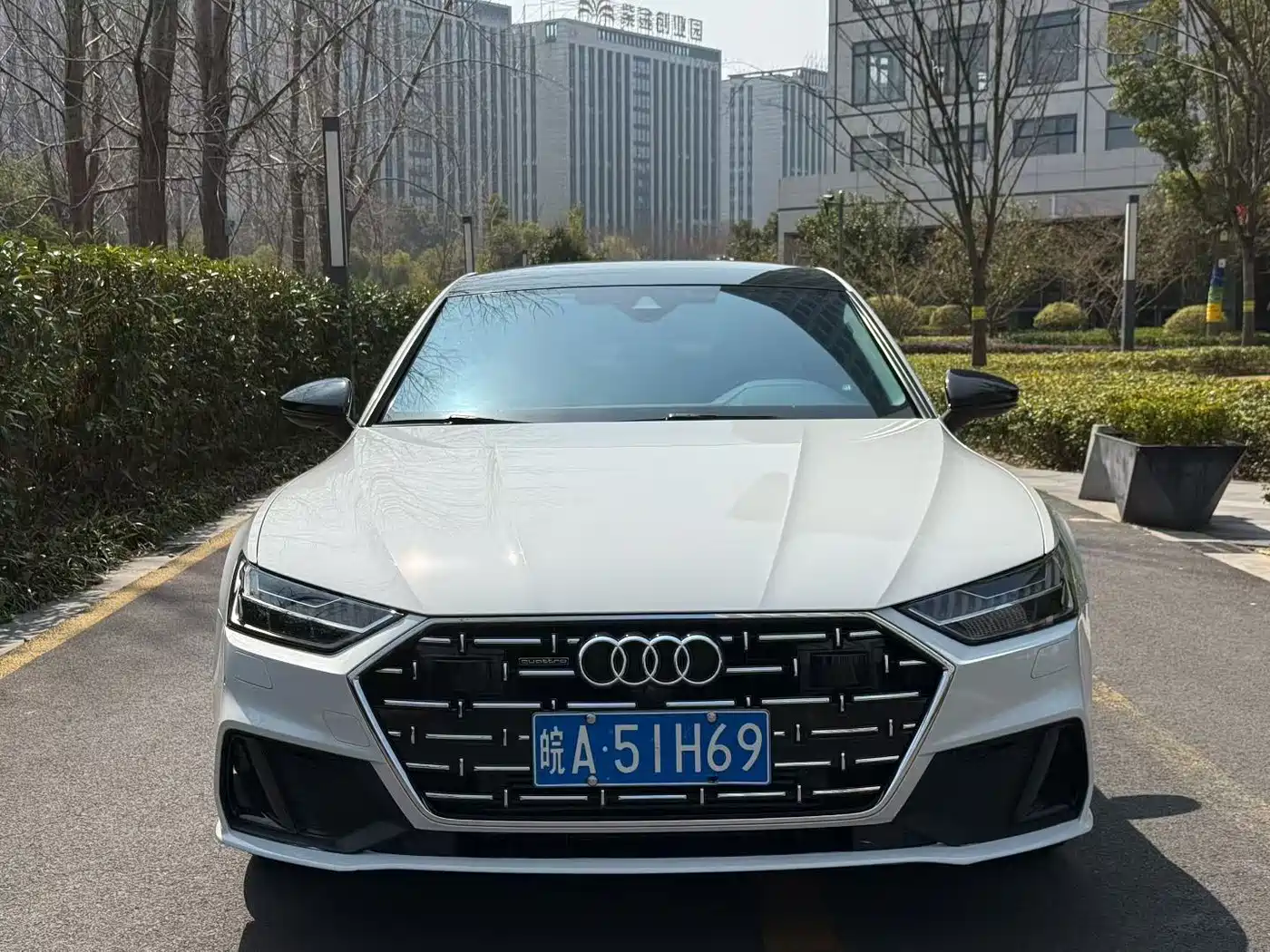 Audi A7L 2023 45 TFSI quattro S-line Shadow Warrior Edition фото 2