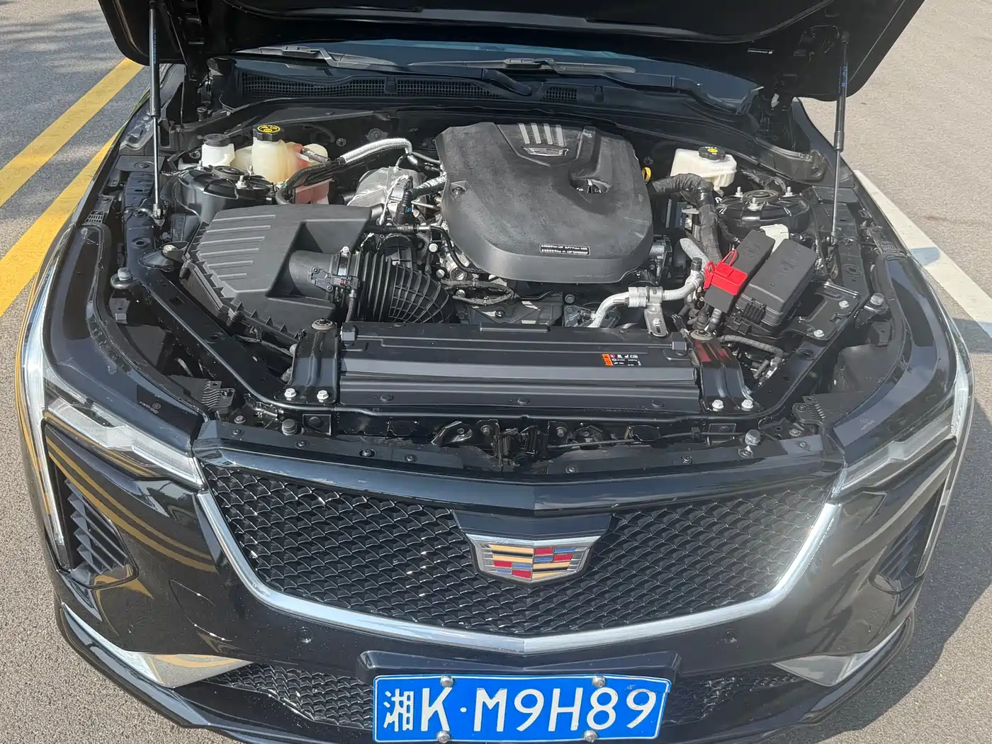 Cadillac CT4 2024 2023 25T Luxury Model