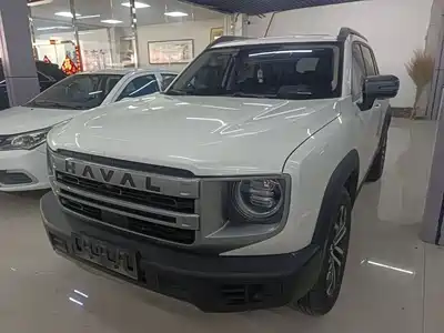 Haval Dargo