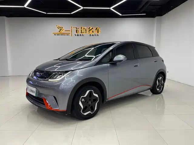 BYD Dolphin 405km, Свобода