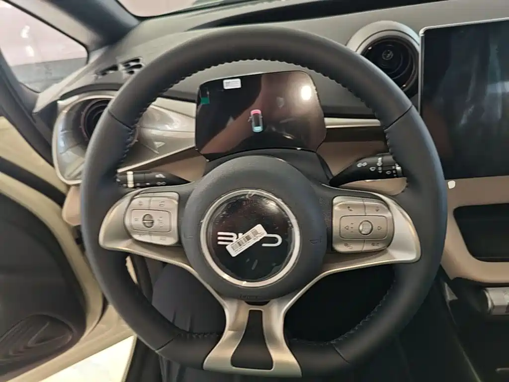 BYD Dolphin 2026 2025 420km Freedom Edition