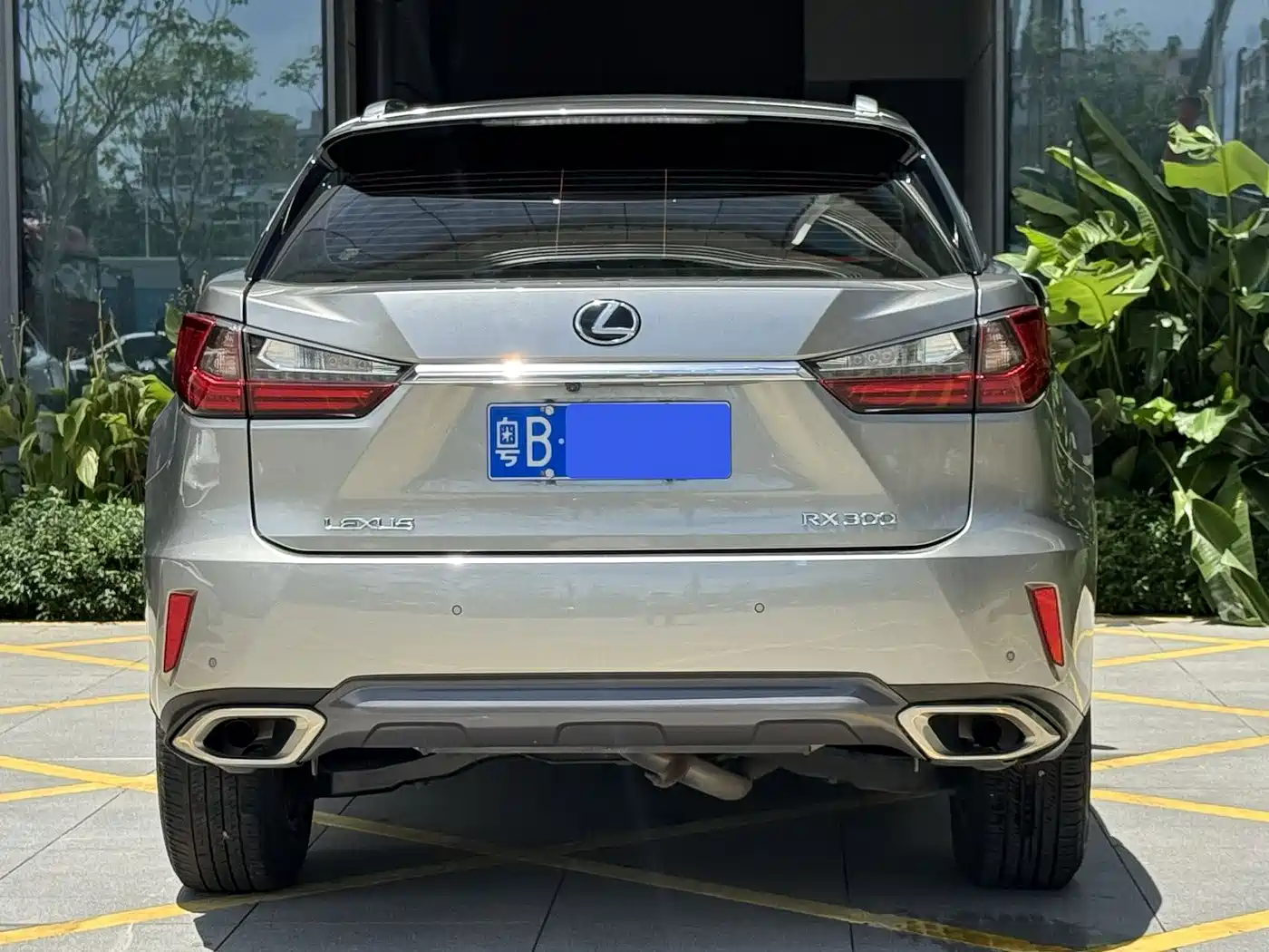 Фото 8 - Lexus RX