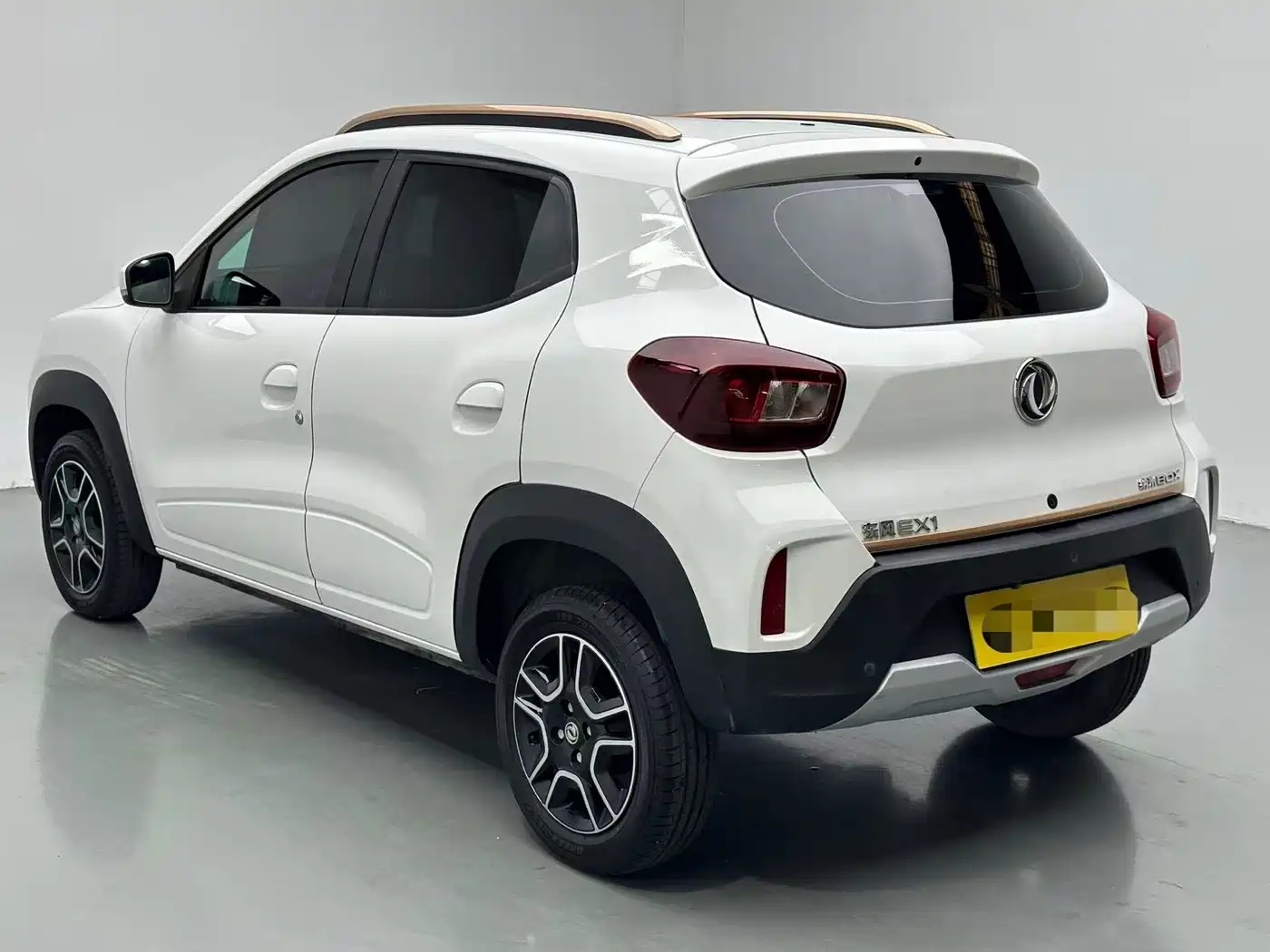 Dongfeng Yipai Nano BOX 2024 2022 Breeze Edition 201KM Lightning