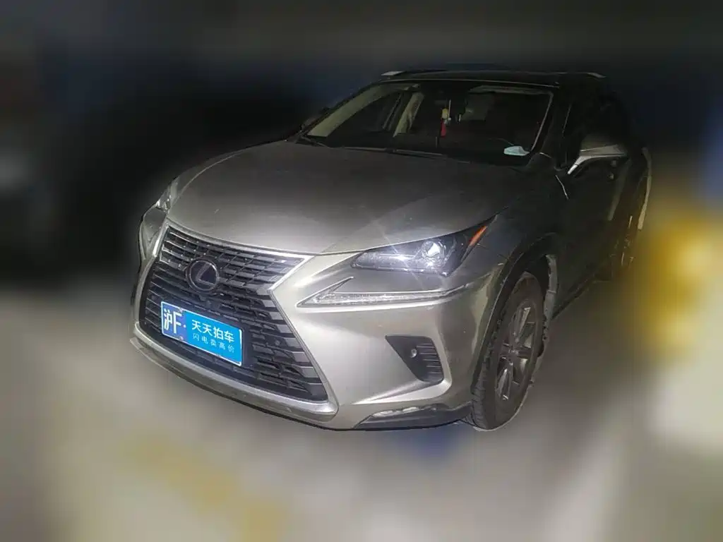 Lexus Lexus NX 2020 300h FWD F Sport China VI