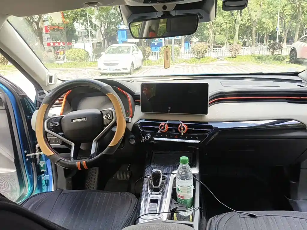 Haval Chitu 2022 2021 Boost Edition 1.5T Platinum Rabbit