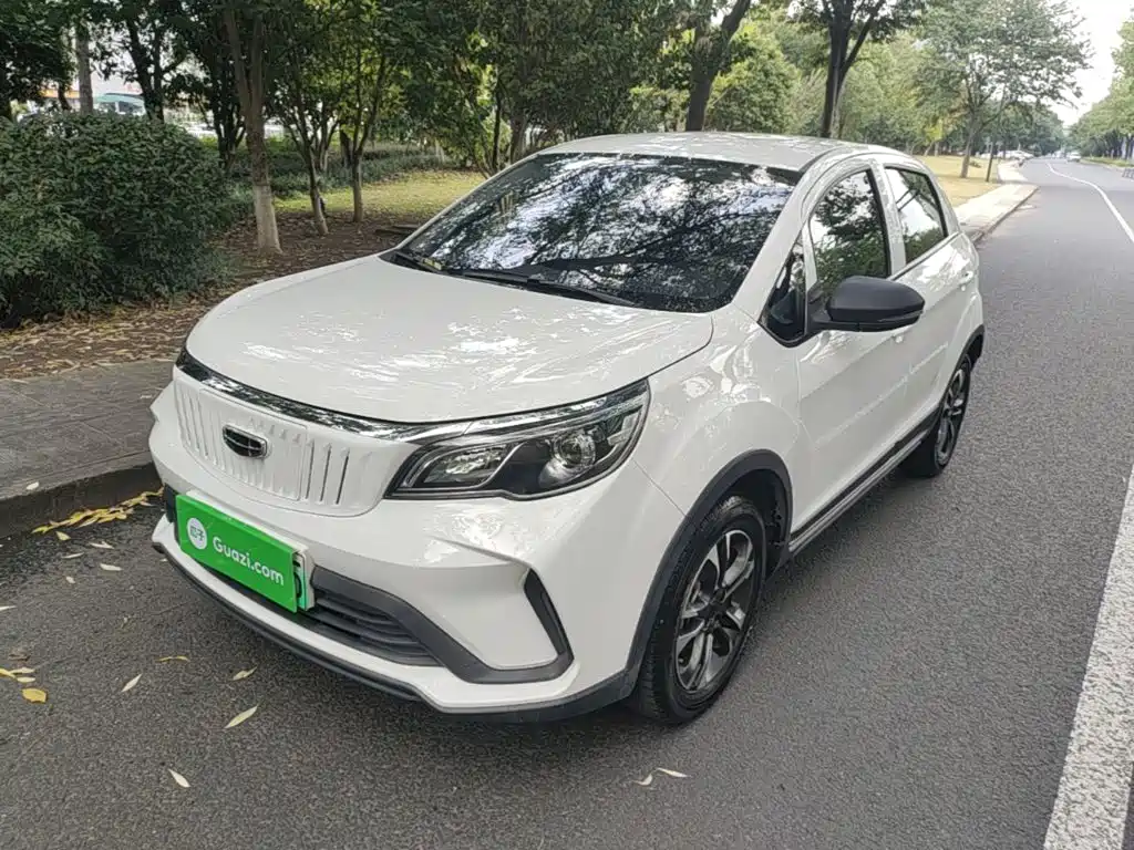 Geely Geometry EX3 Kung Fu Bull 2022 2021 Strong Bull