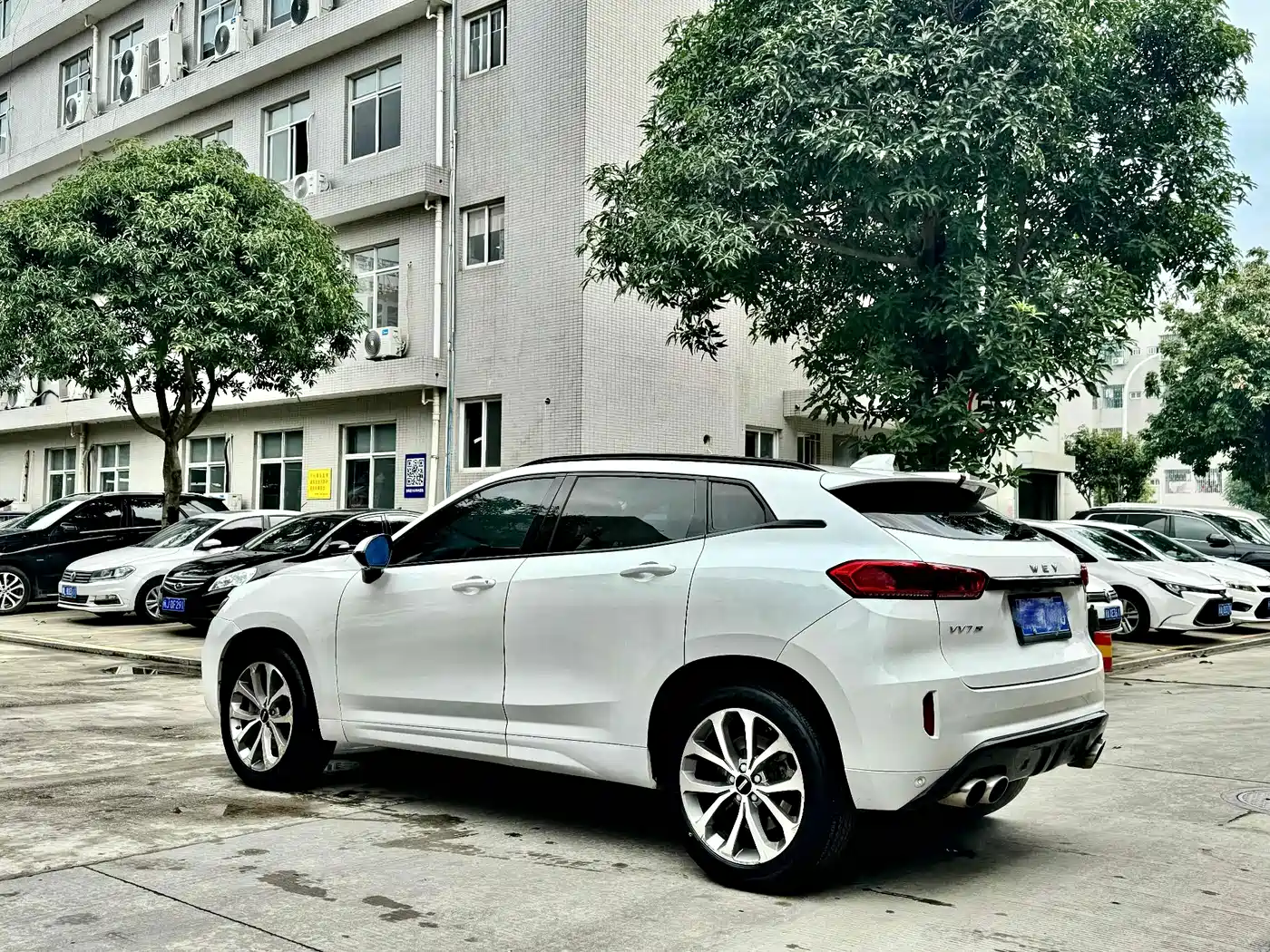 WEI PAI WEI BRAND VV7