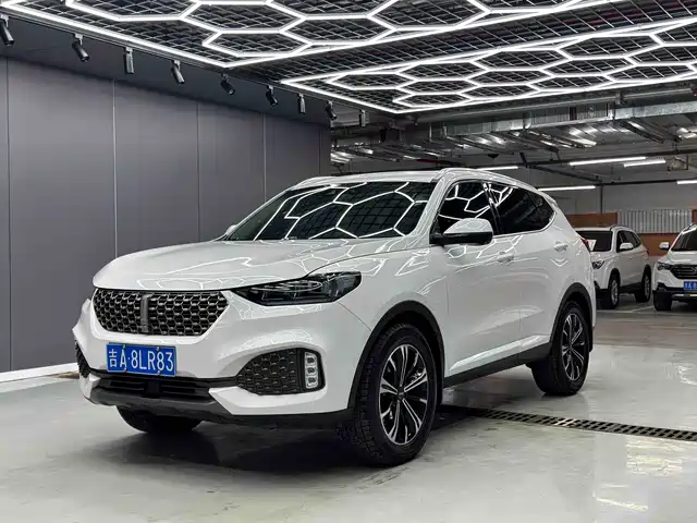 WEI PAI WEI BRAND VV6