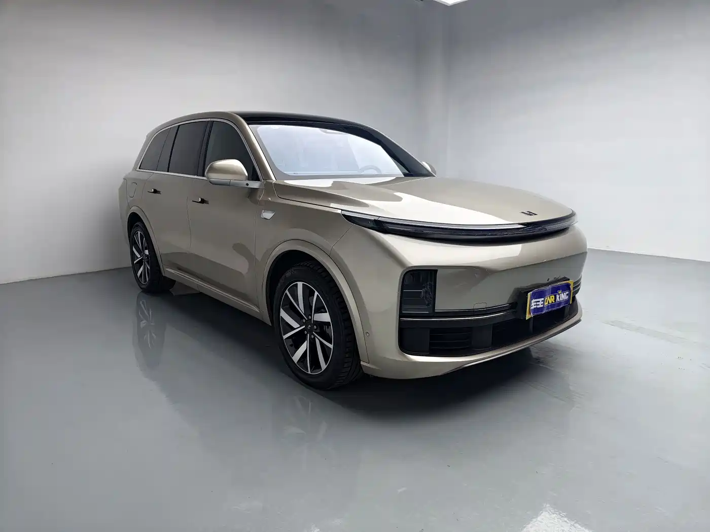 Li Auto Li L8 2022 2023 Pro