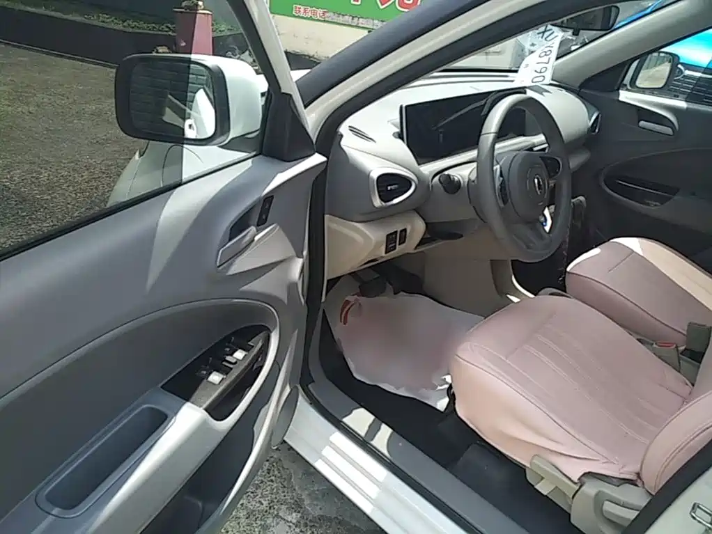 Ora White Cat 2020 2020 360km Luxury Model