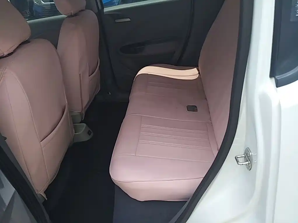Ora White Cat 2020 2020 360km Luxury Model