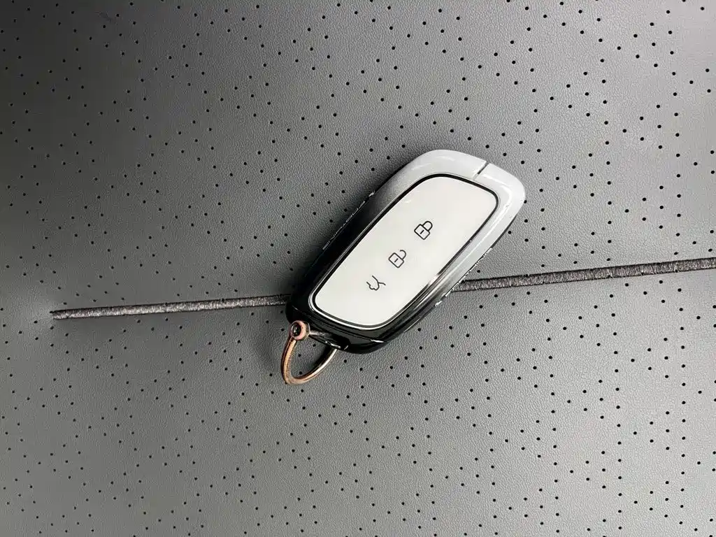 Dongfeng Fengxing Stellar S7 2024 2024 555 Joy Edition