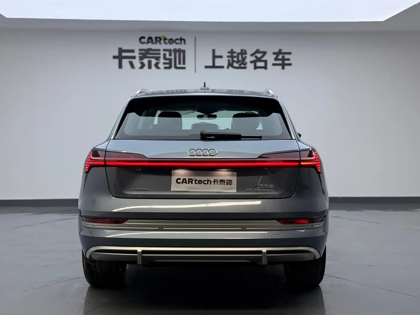 Audi e-tron 2021 50 quattro Luxury фото 6