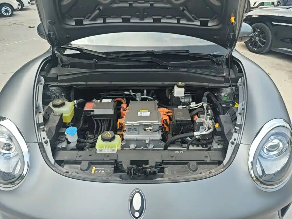 Ora Good Cat 2025 2025 Model 430km Luxury