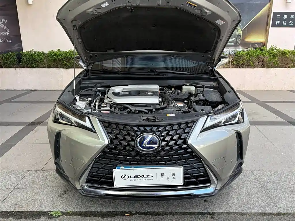 Lexus UX 2020 2020 260h Explore Cool Edition