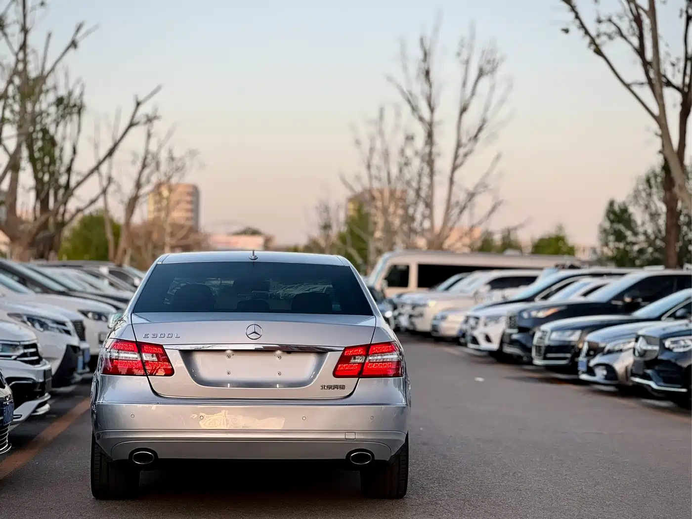 Mercedes-Benz E-Class 2011 E 300 L Elegance фото 7