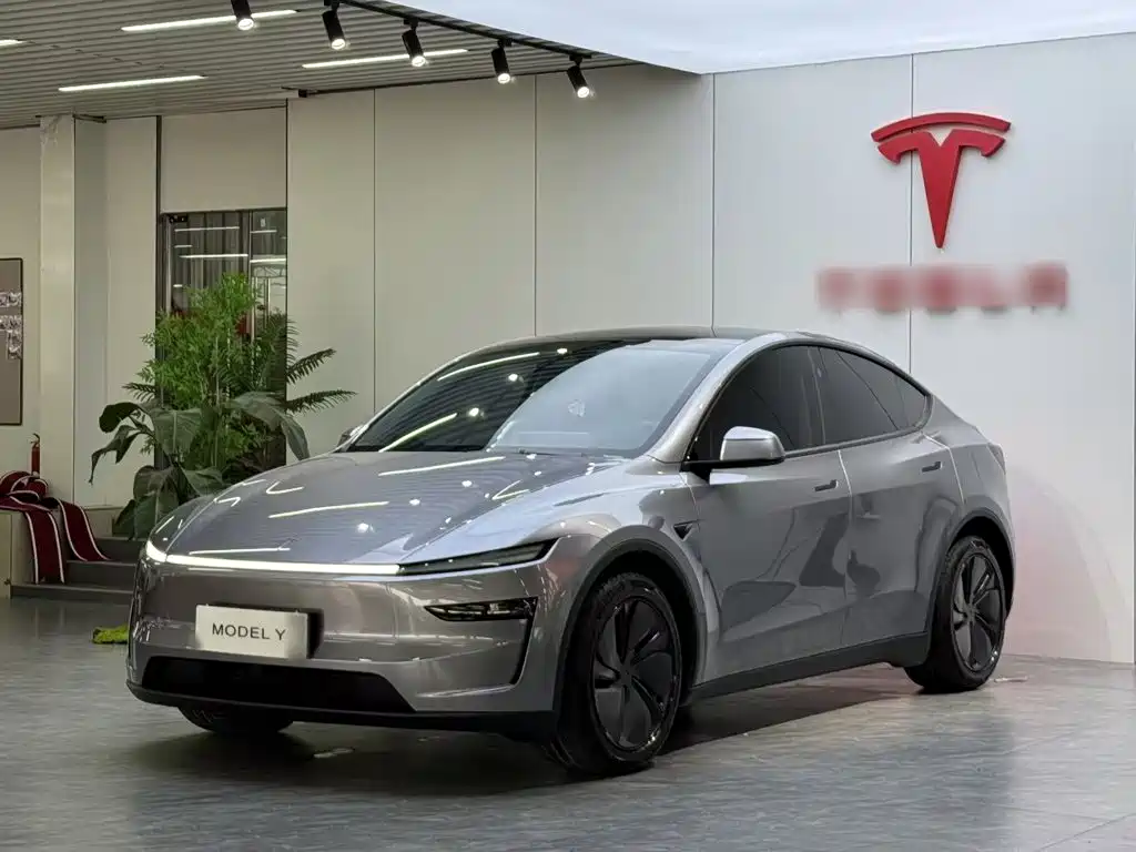 Tesla Model Y 2025 Long Range All-Wheel Drive