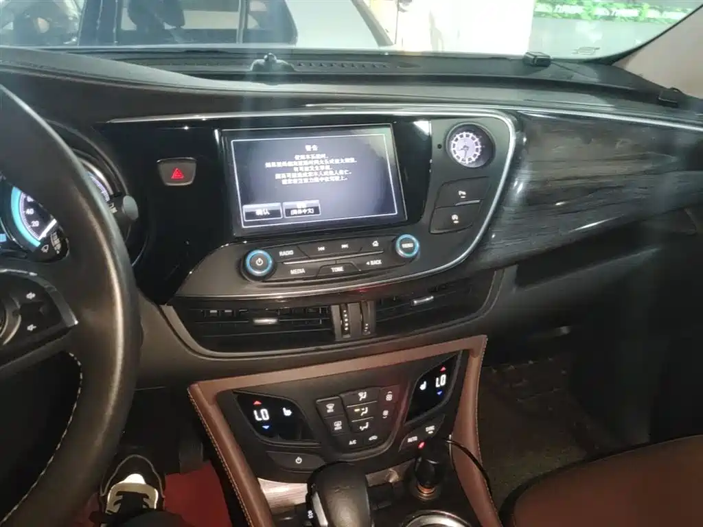 Buick Envision Plus 2016 20T 2WD Elite фото 10