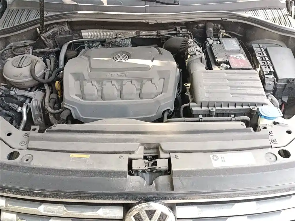 Volkswagen Tiguan L 2019 Facelift 330TSI Auto 2WD Smart Luxury China VI фото 11