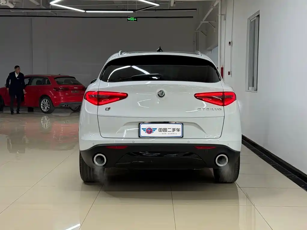 Alfa Romeo Stelvio 2019 2017 2.0T 200HP Luxury Edition
