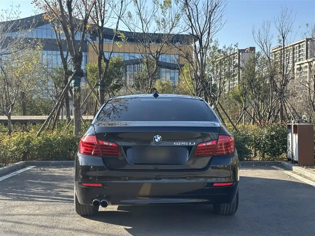 BMW 5 Series 2014 525Li Leading фото 13
