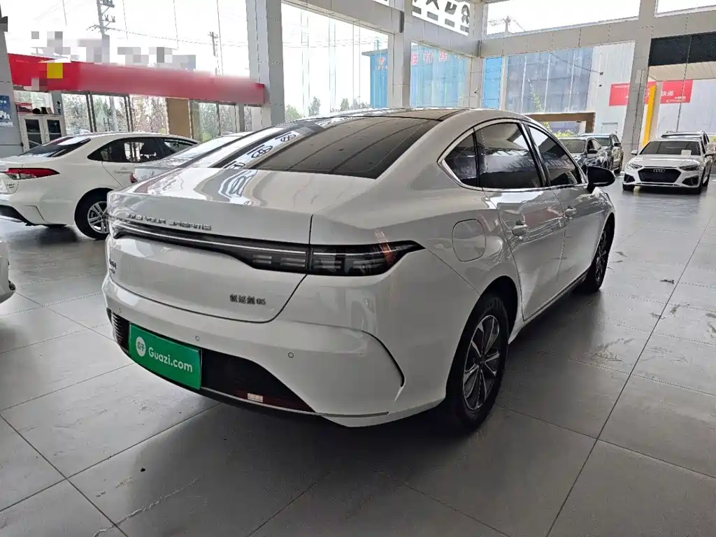 BYD Destroyer 05 2024 2024 Glory Edition DM-i 55KM Luxury