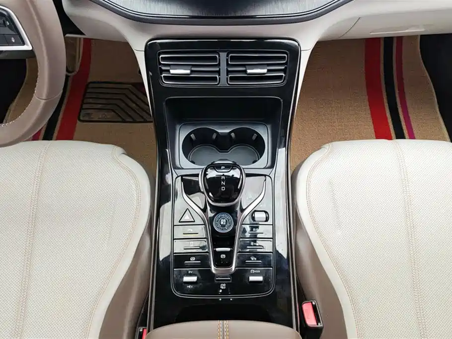 BYD Qin PLUS 2024 Glory Edition DM-i 55KM Leading фото 16