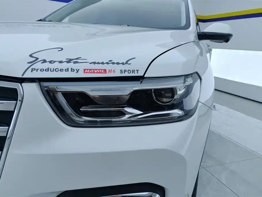 Haval H6 2020 2.0GDIT Automatic Platinum Champion Edition фото 5