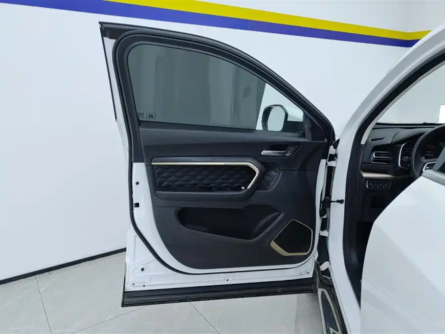 Haval H6 2020 2.0GDIT Automatic Platinum Champion Edition фото 7