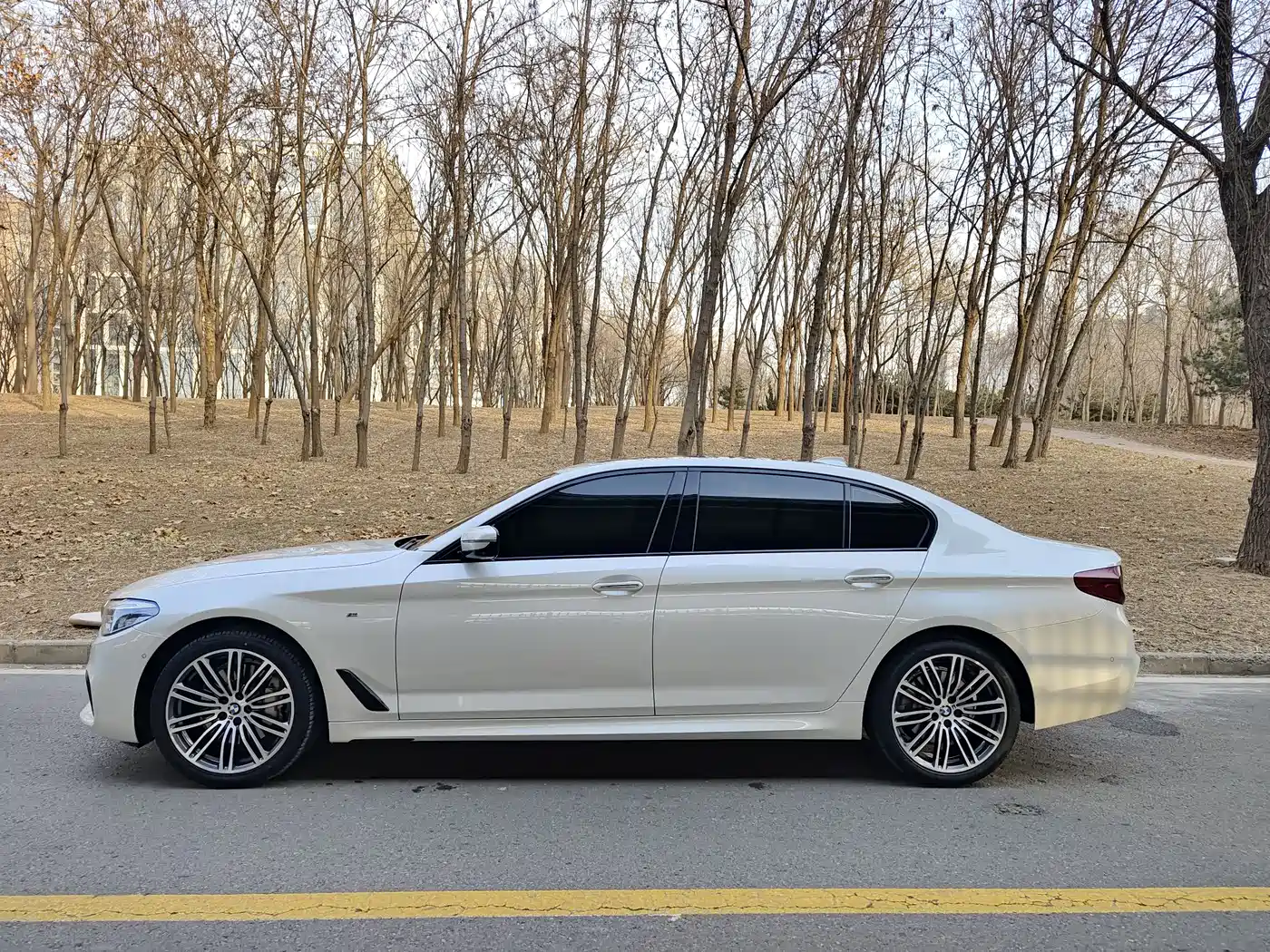 BMW 5 Series 2018 Facelift 530Li Exclusive M Sport Package фото 7